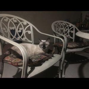 Meet your Posher, Alexandra